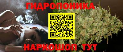 Альфа ПВП Будённовск