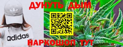 Альфа ПВП Будённовск