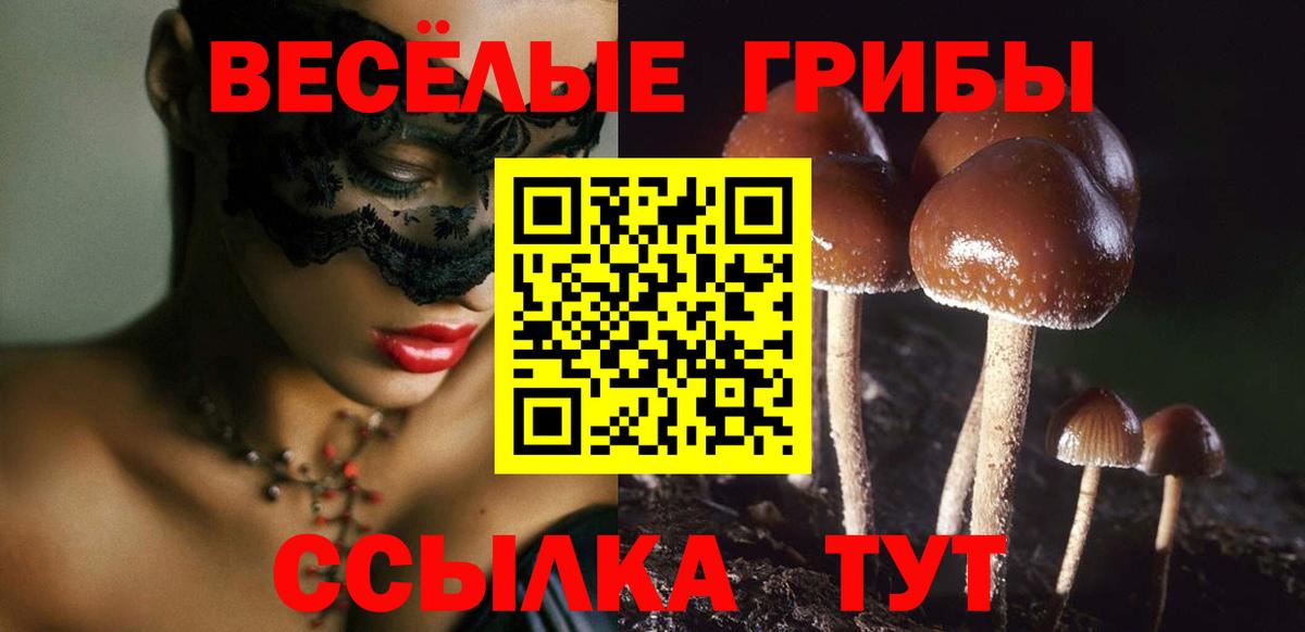 Галлюциногенные грибы MAGIC MUSHROOMS Семёнов